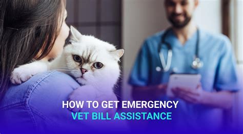 emergency vet bill assistance australia